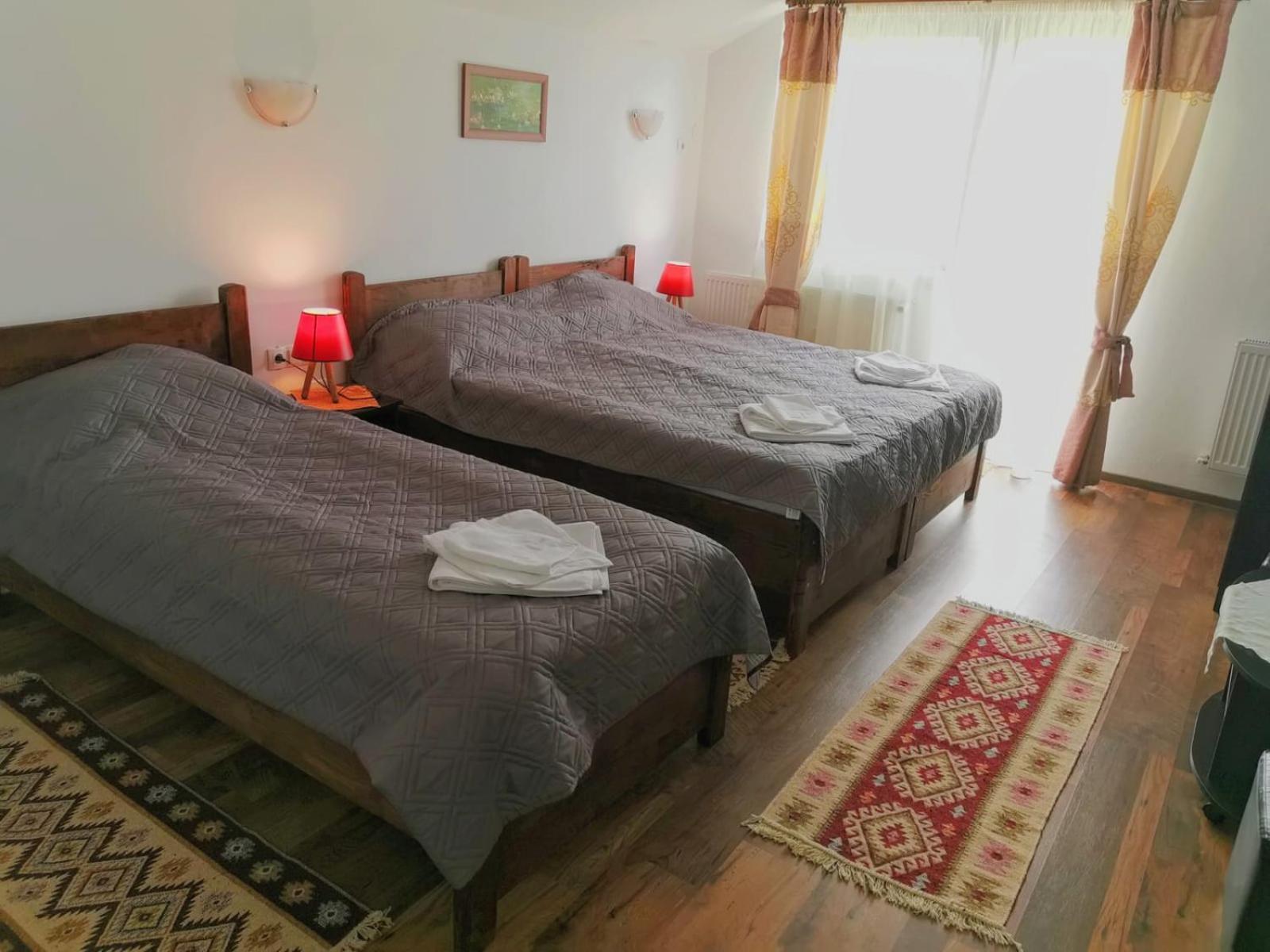 Pensiunea Albina Sinnicoara Room photo